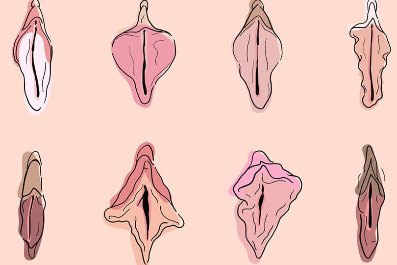 descubre las principales diferencias entre vaginas todo lo que debes saber