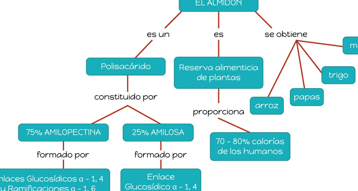 descubre y comprende las principales diferencias entre almidon glucogeno celulosa y quitina