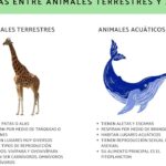 diferencias clave entre animales acuaticos y terrestres como se adaptan a sus entornos