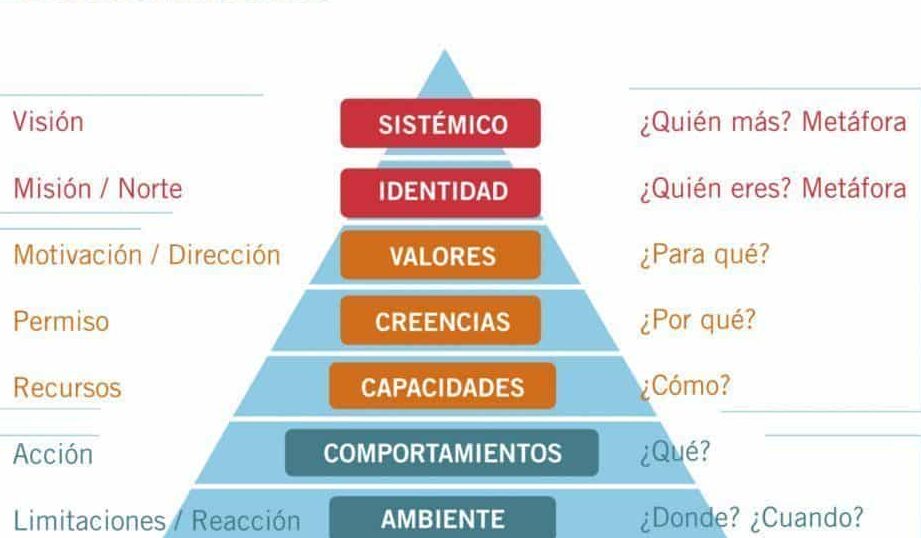 diferencias clave entre conducta y comportamiento entendiendo las distinciones