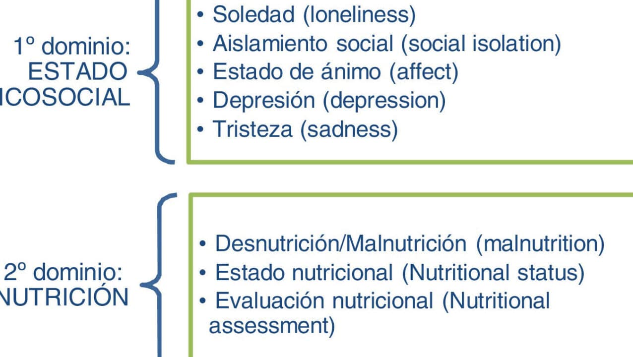 diferencias clave entre desnutricion y malnutricion todo lo que necesitas saber