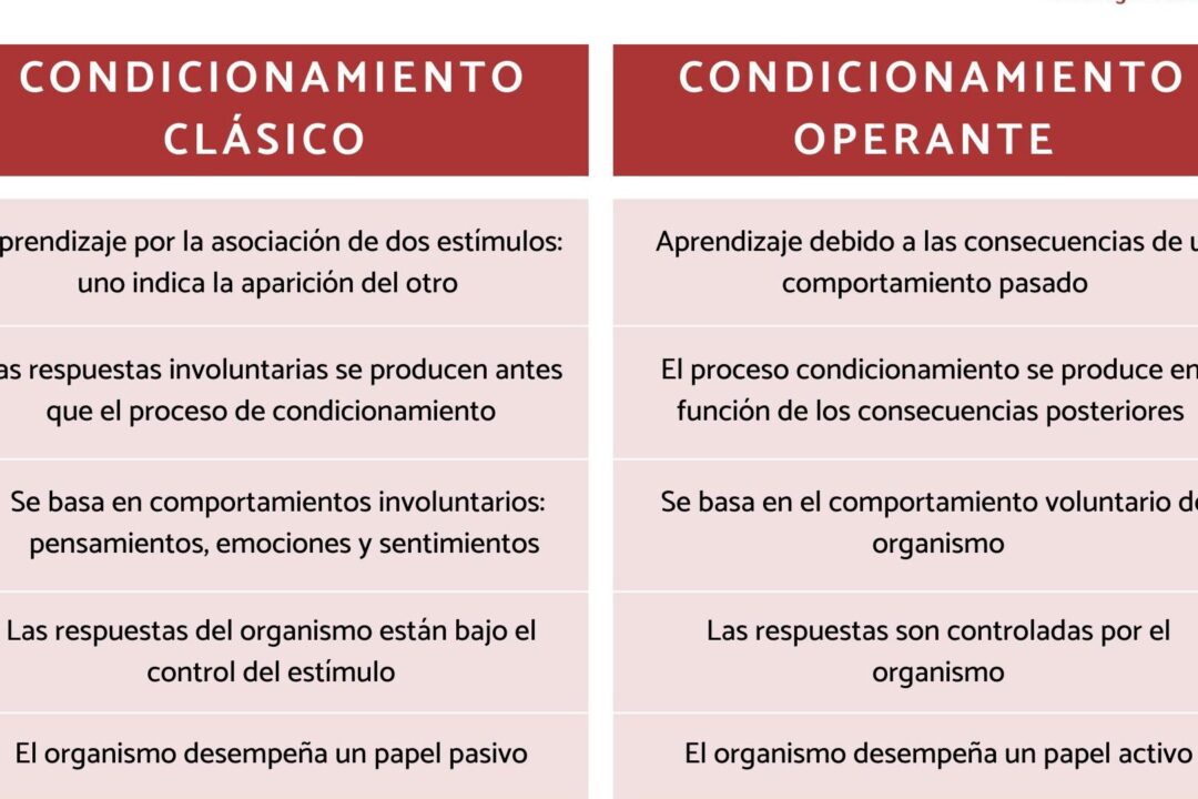 diferencias clave entre pavlov y watson descubre las teorias y metodologias de dos destacados psicologos