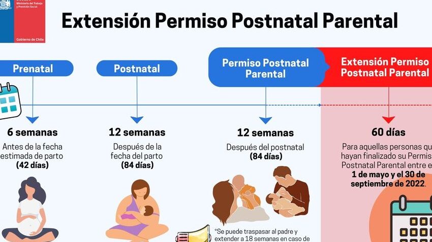 diferencias clave entre prenatal perinatal y postnatal todo lo que necesitas saber
