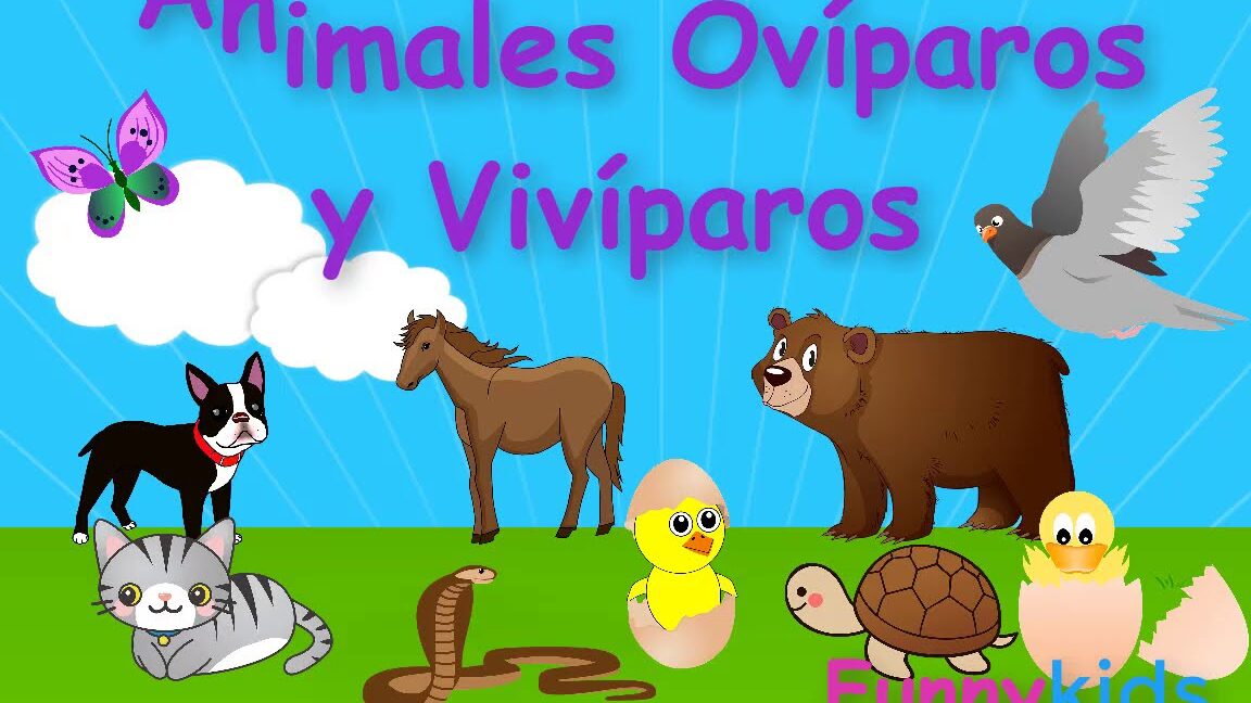 diferencias entre animales oviparos y viviparos descubre todo en wikipedia