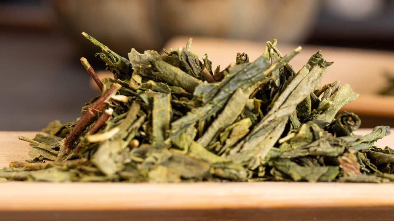 diferencias entre bancha y hojicha descubre las caracteristicas y beneficios de cada te japones