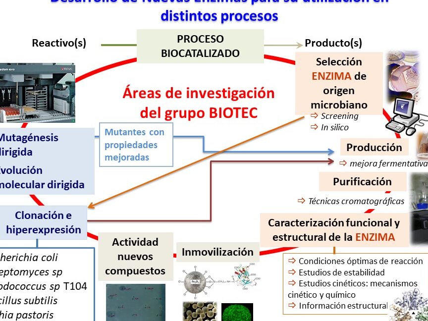 diferencias entre bioquimica y biotecnologia una comparativa completa para entender sus enfoques y aplicaciones
