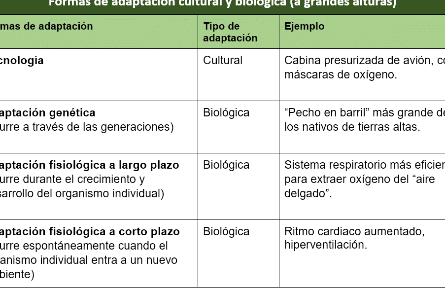 diferencias entre boas y malinowski una comparativa en profundidad