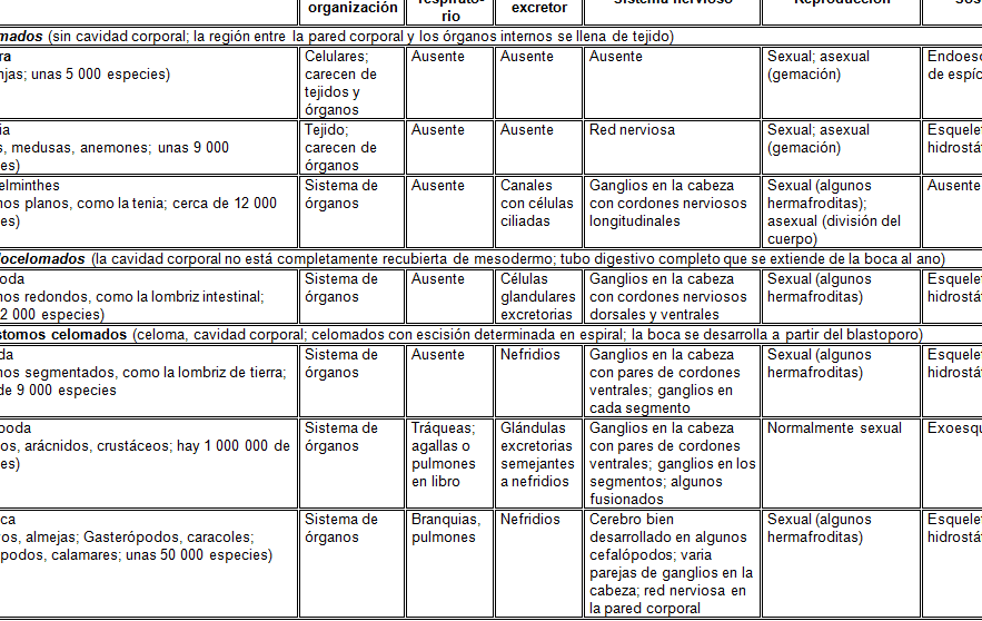 diferencias entre celomados descubre las caracteristicas y funciones clave