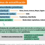 diferencias entre clases sociales y castas una mirada profunda sobre su estructura y caracteristicas