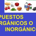 diferencias entre compuestos organicos e inorganicos todo lo que necesitas saber