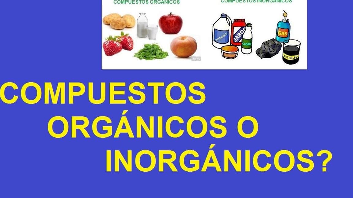 diferencias entre compuestos organicos e inorganicos todo lo que necesitas saber