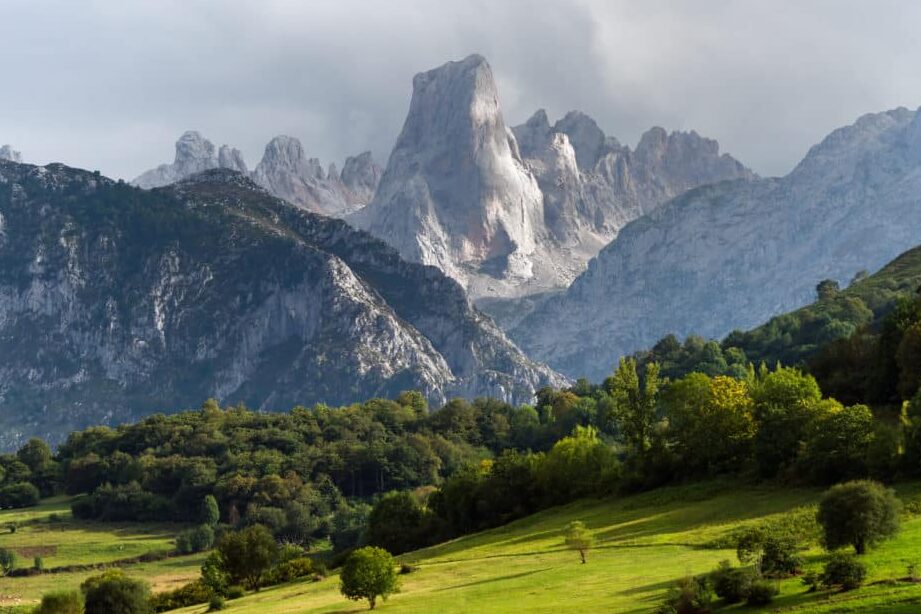 diferencias entre parques nacionales y reservas naturales cual es la mejor opcion para disfrutar de la naturaleza