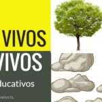 diferencias entre seres vivos y no vivos para ninos explorando el mundo natural de forma divertida