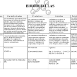 explorando las diferencias entre acidos nucleicos y carbohidratos una guia completa