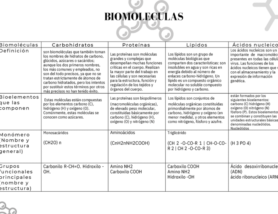 explorando las diferencias entre acidos nucleicos y carbohidratos una guia completa