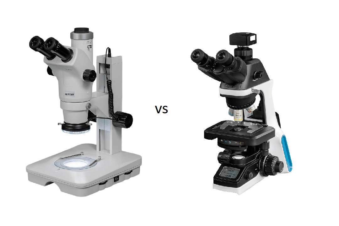 comparativa entre el microscopio y el estereoscopio diferencias y usos practicos