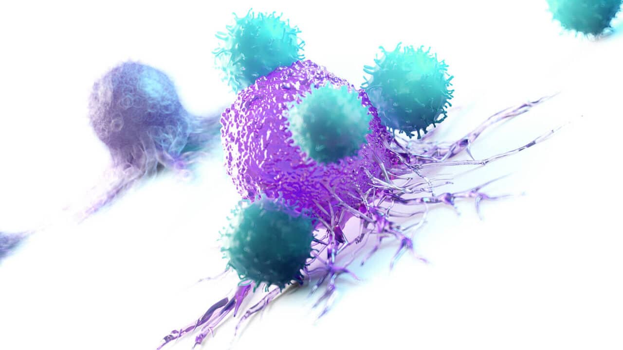 conoce las principales diferencias entre neoplasia benigna y maligna todo lo que necesitas saber