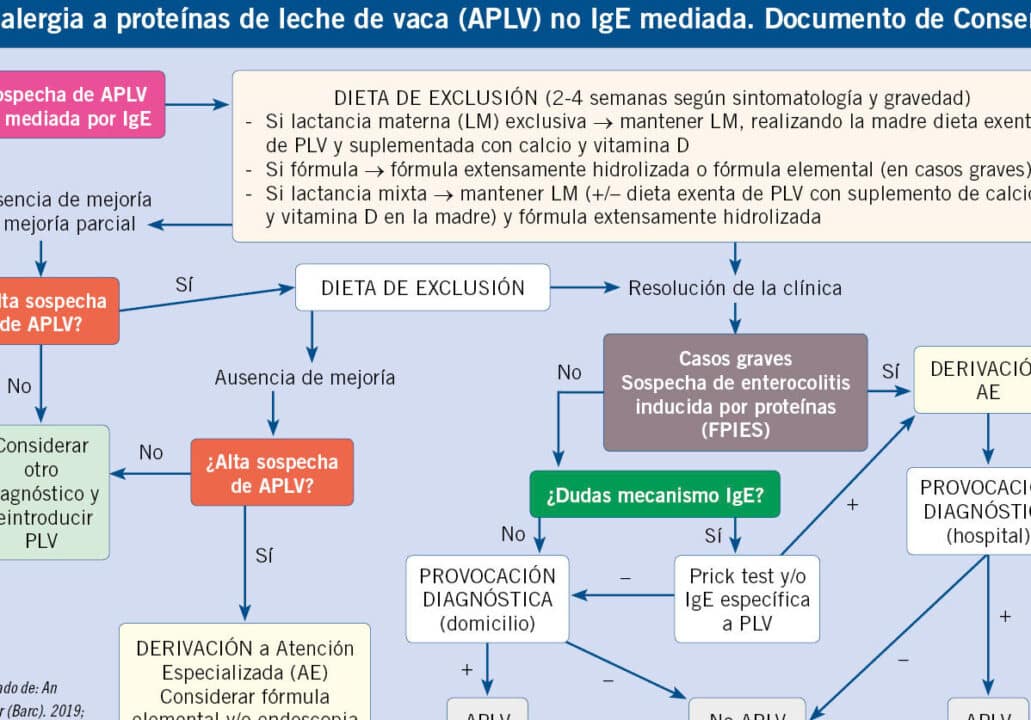 cuales son las diferencias entre alergia y atopia guia completa y explicacion detallada