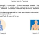 diferencias clave entre alimentacion parental y enteral una guia completa