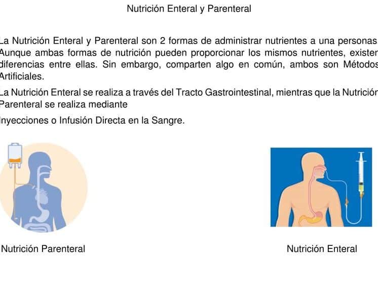 diferencias clave entre alimentacion parental y enteral una guia completa