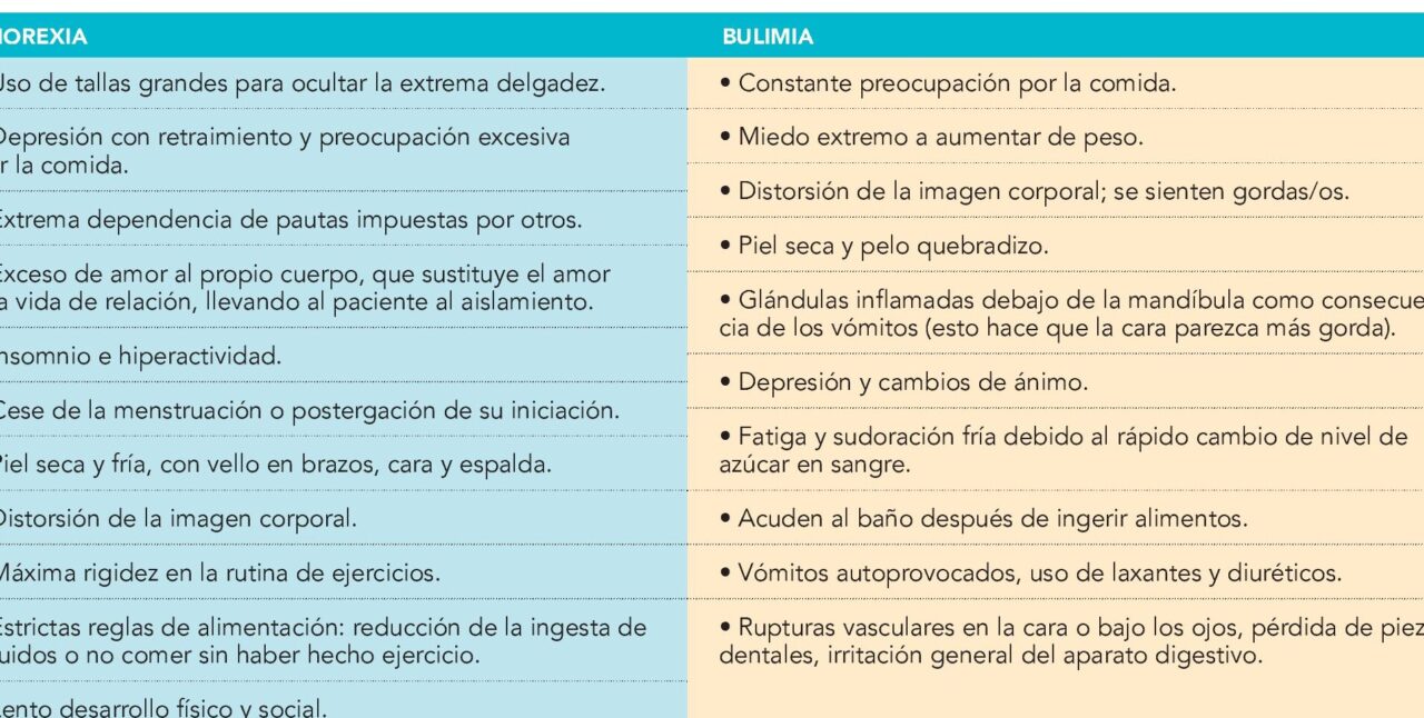 diferencias clave entre anorexia nerviosa y bulimia cual es la diferencia y como identificarlos