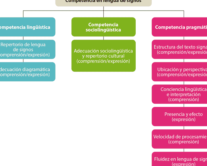 diferencias clave entre linguistica y sociolinguistica en que se distinguen