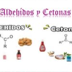 diferencias entre aldehidos cetonas y acidos carboxilicos guia completa