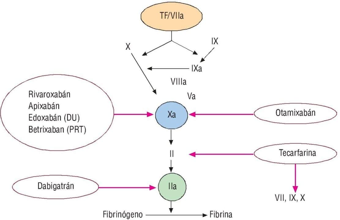 diferencias entre apixaban y acido acetilsalicilico cual es mejor para ti