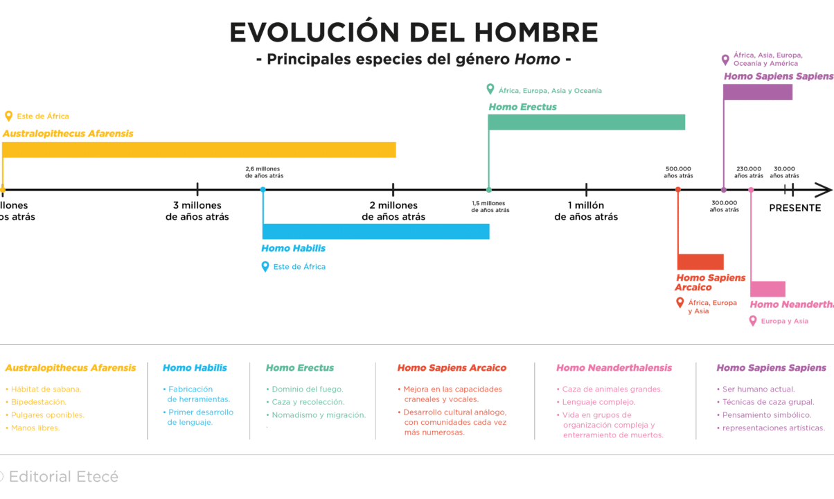 diferencias entre ardipithecus y australopithecus descubre las claves de la evolucion humana