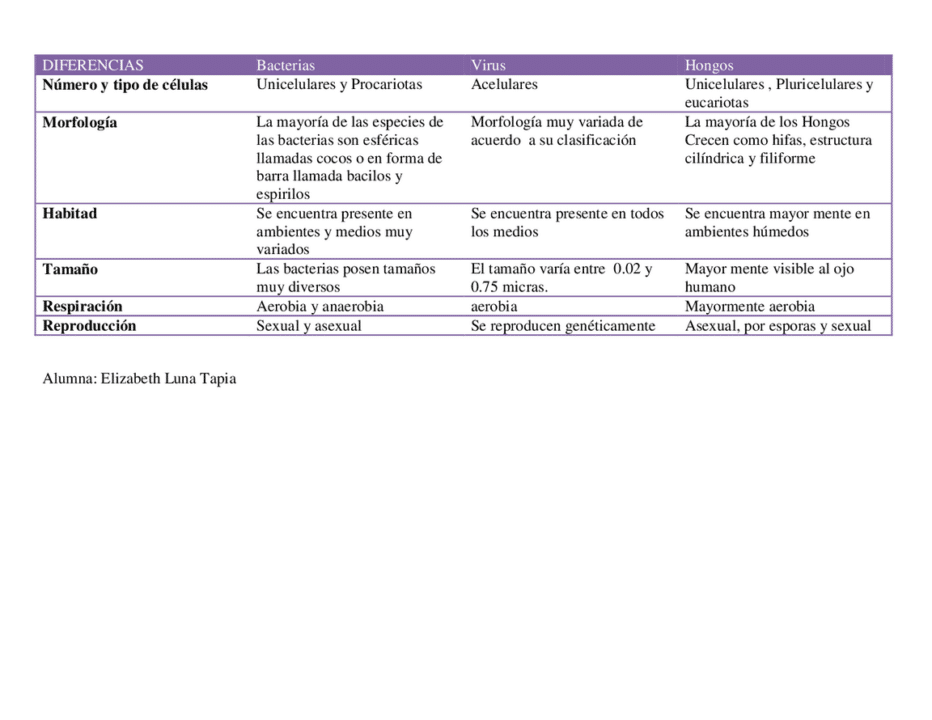 diferencias entre bacterias hongos y plantas una comparativa completa