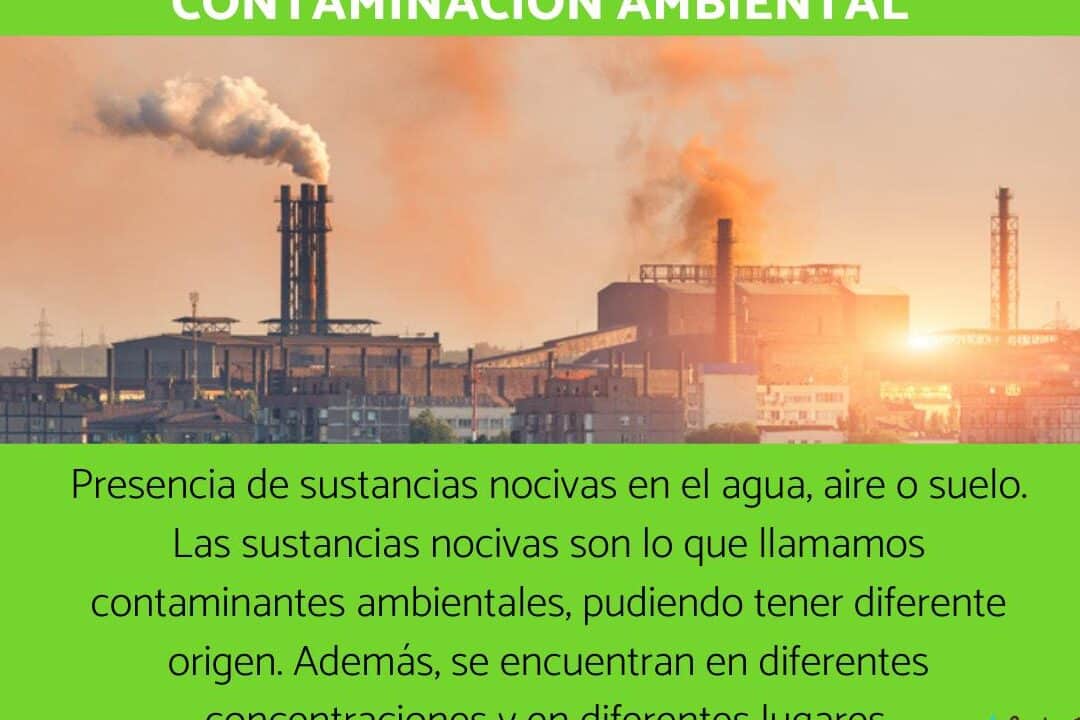 diferencias entre contaminantes naturales y artificiales todo lo que debes saber