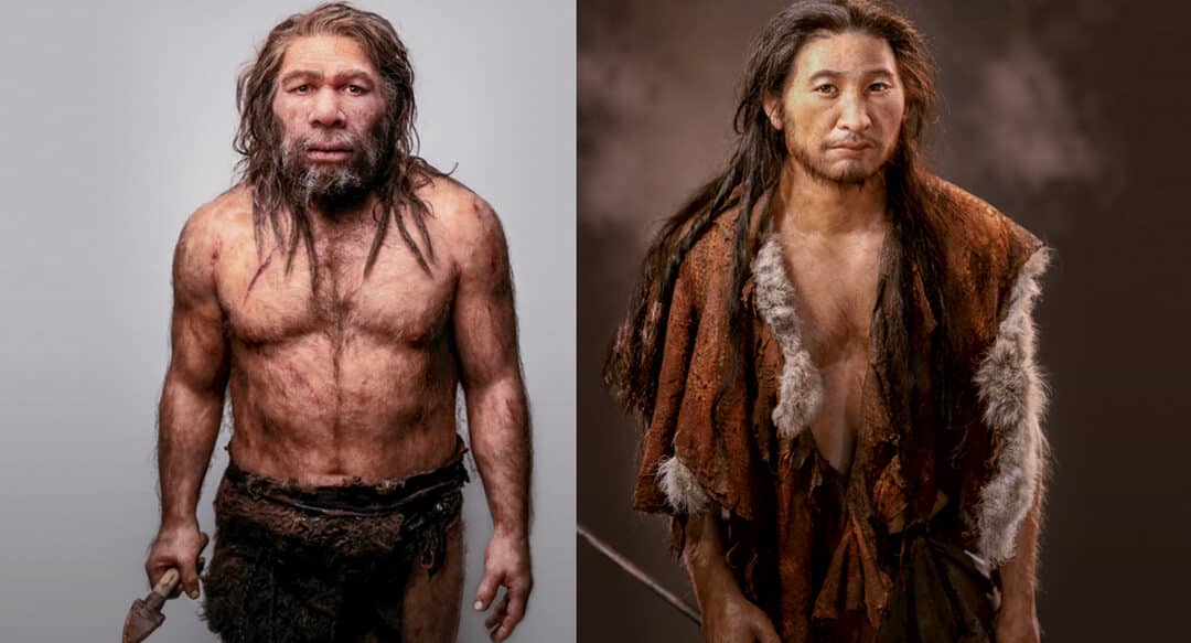 diferencias entre humanos modernos y neandertales descubre las claves de la evolucion humana