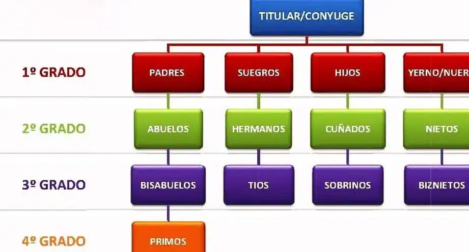 diferencias entre linea y grado de parentesco en espana guia completa