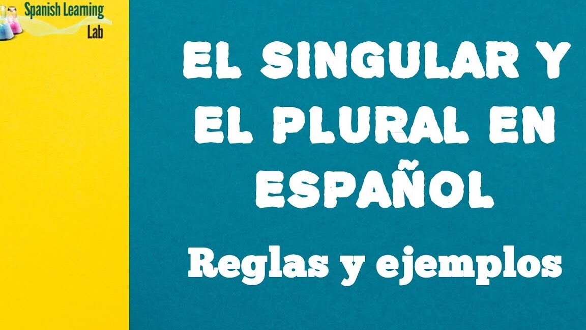 diferencias entre singular y plural como usar correctamente cada forma gramatical