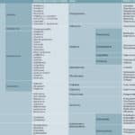 las principales diferencias entre antibacterianos y antibioticos todo lo que necesitas saber