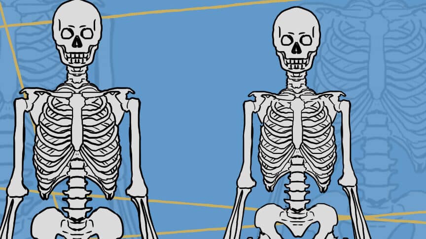 diferencias anatomicas entre el cuerpo de la mujer y el hombre descubrelas