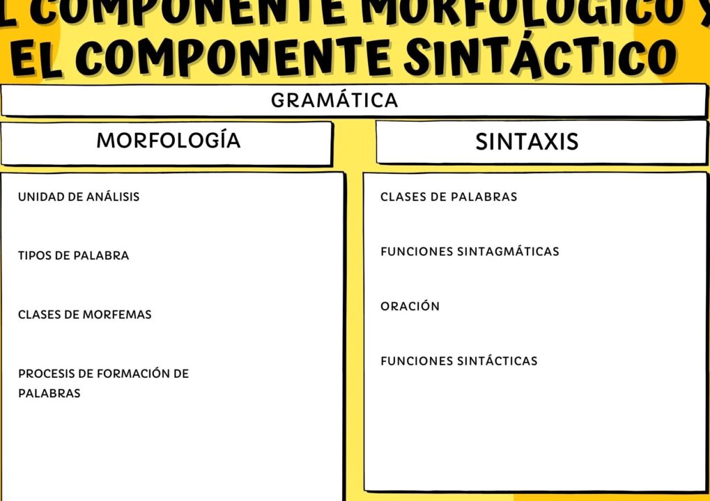 diferencias clave entre analisis sintactico morfologico y semantico guia completa