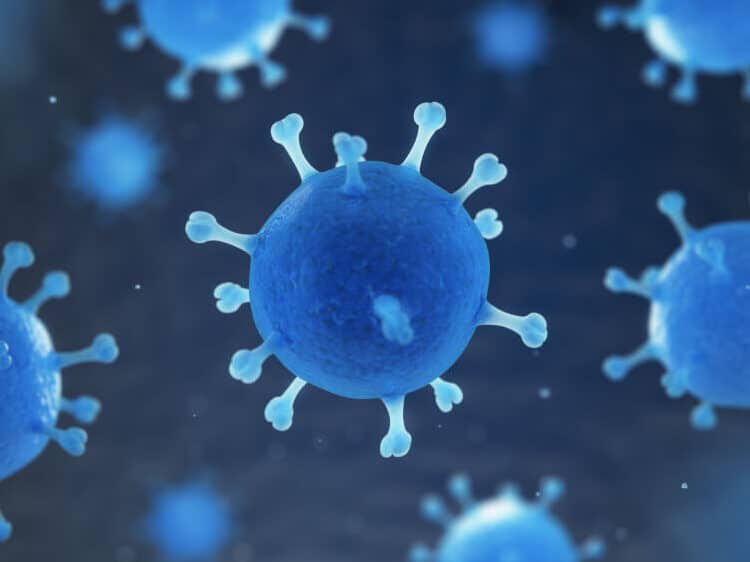 diferencias clave entre bacterias y virus descubre cual es la verdadera amenaza para tu salud