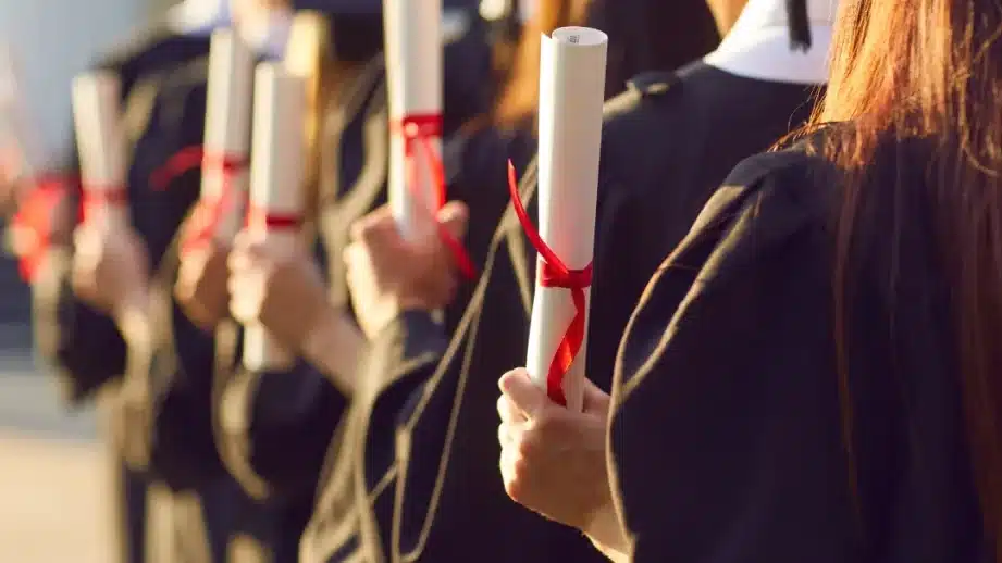 diferencias clave entre educacion continua y certificaciones cual es la mejor opcion para ti