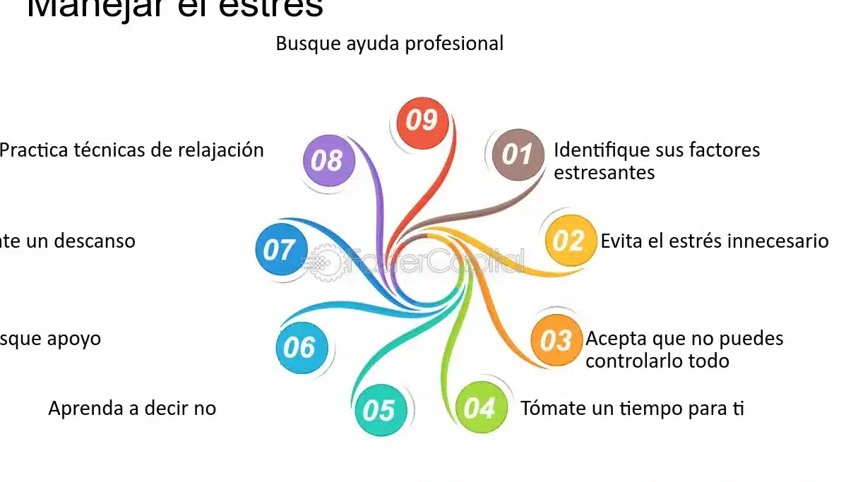 diferencias clave entre gratificacion y ttf que opcion es mejor para ti