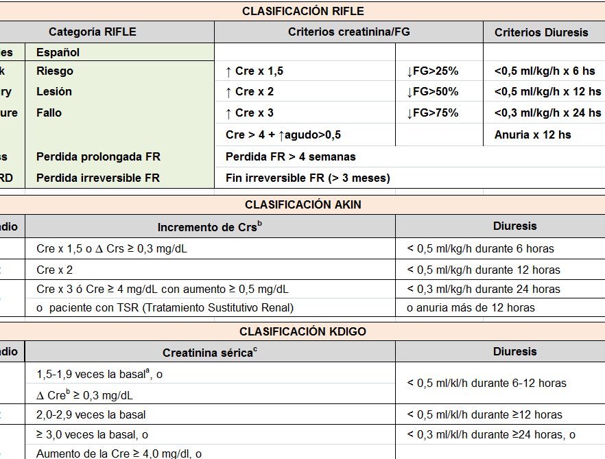 diferencias clave entre ira prerrenal y renal guia completa