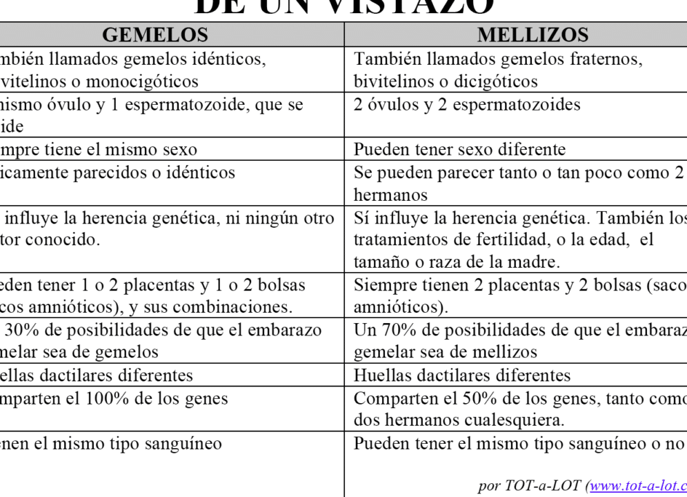 diferencias clave entre la sonografia de gemelos y mellizos cual es la mejor opcion para ti