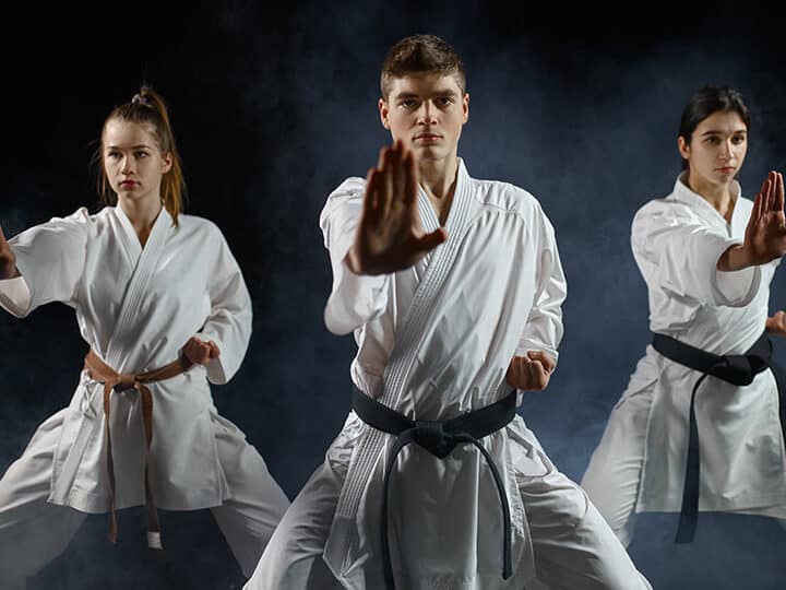 diferencias clave entre los estilos de karate encuentra el mejor para ti