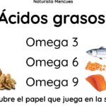 diferencias clave entre omega 3 y omega 3 6 9 cual es la mejor opcion para tu salud