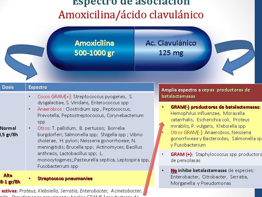 diferencias entre amoxicilina y ciprofloxacino cual es mejor para tu salud