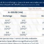 diferencias entre cepa b1 y lasota de newcastle todo lo que debes saber