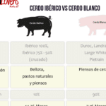 diferencias entre cerdo iberico y cerdo blanco cual es mejor para tu dieta