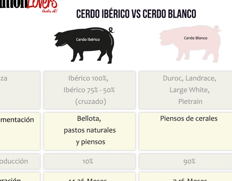 diferencias entre cerdo iberico y cerdo blanco cual es mejor para tu dieta