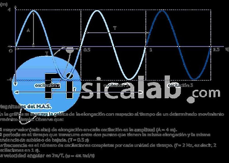 diferencias entre cinematica de la particula y del cuerpo rigido cual es la clave para comprender el movimiento