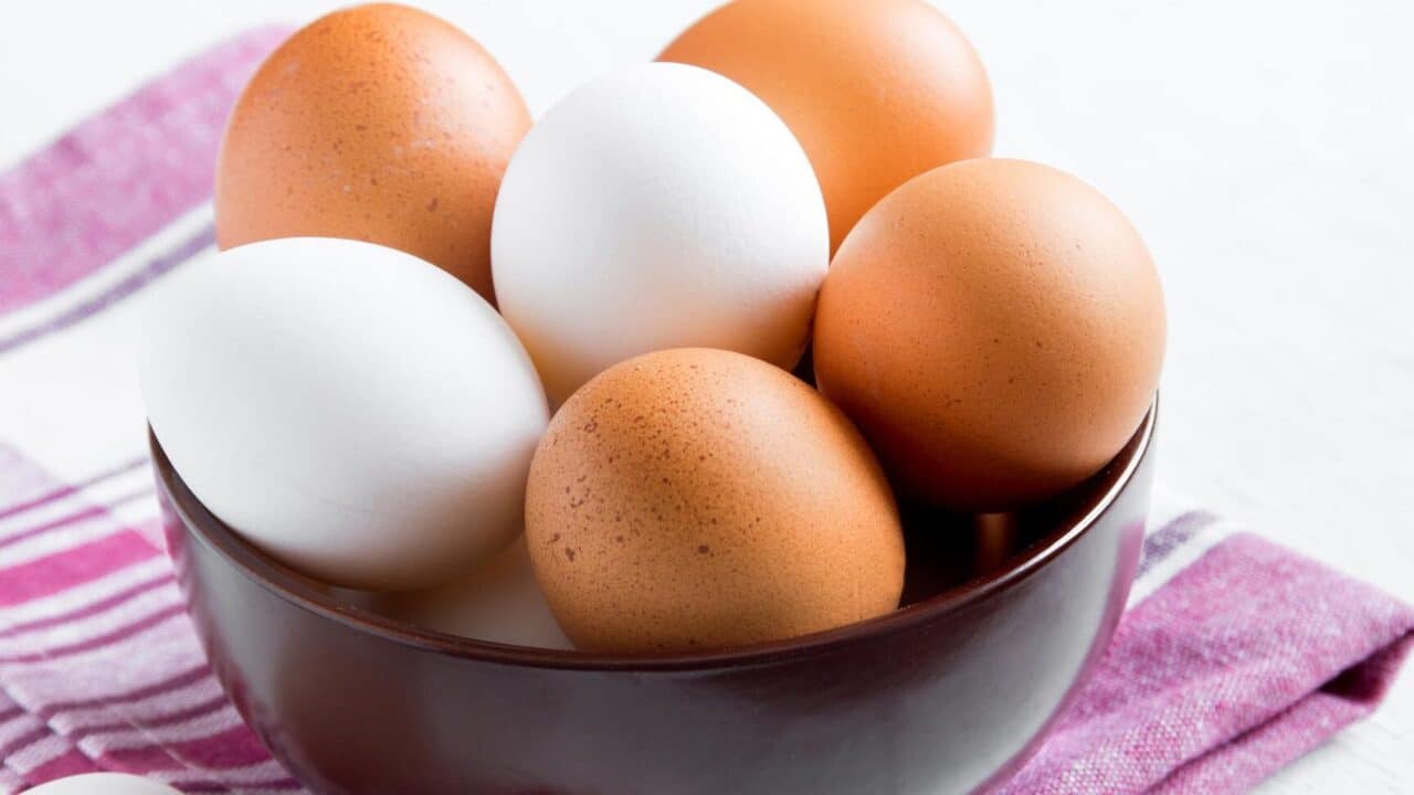 diferencias entre huevo blanco y huevo moreno cual es la mejor opcion guia completa
